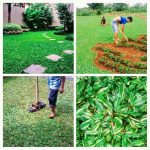 TukangTaman Cilendek