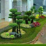 tukang taman minimalis