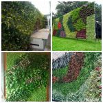 Tukang Taman Senayan