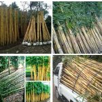 Tukang Taman Kota Jakarta