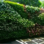 spesialis tukang taman vertikal