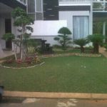 tukang taman pejaten