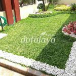 tukang taman cimanggis