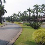 tukang taman kemang pratama