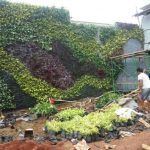 jasa vertical garden sentul city
