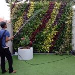 jasa pembuatan taman bogor