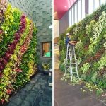 Jasa Vertical Garden Kelapa Gading