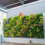 tukang taman vertikal cawang